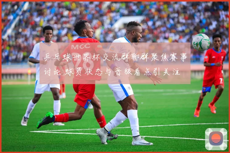 乒乓球世界杯交流群聊群聚焦赛事讨论 球员状态与晋级看点引关注