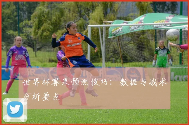 世界杯赛果预测技巧:数据与战术分析要点
