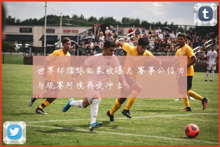 世界杯赌球乱象被曝光 赛事公信力与观赛环境再受冲击